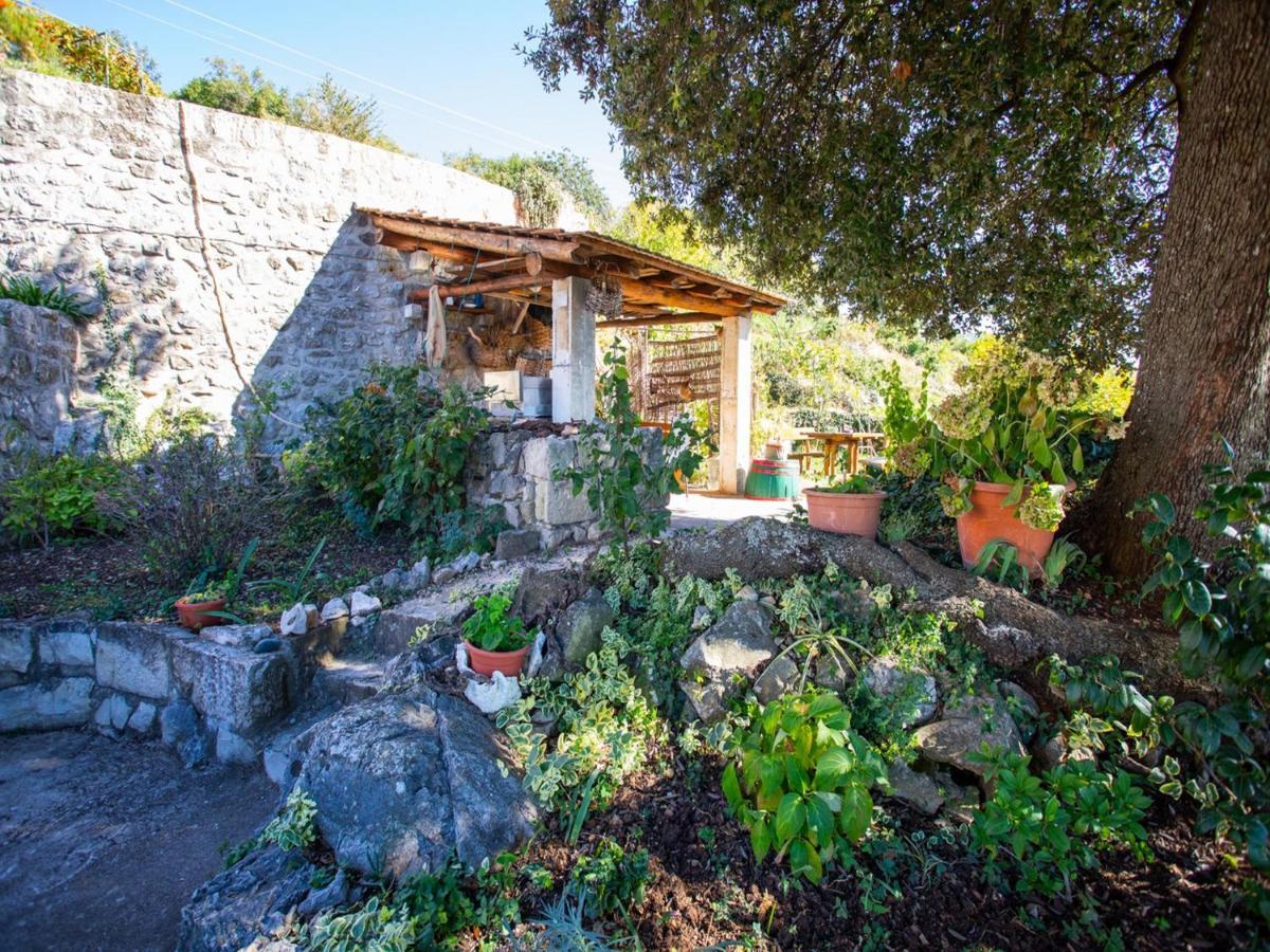 Country House Bakicevo Чилипи Номер фото